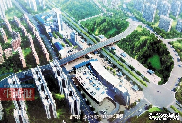 军营观察丨守护天路:生命有界忠诚无疆
